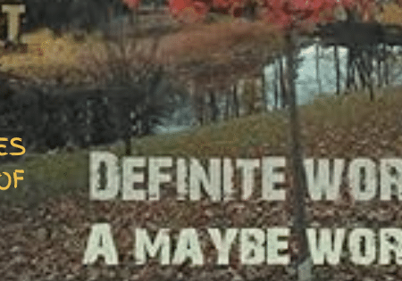 ROBERT J PLATT CELEBRATES 14 YEARS OF DEFINITE WORDS IN A MAYBE WORLD