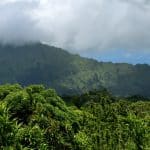 Stacey Slamka Hawaii Hiking