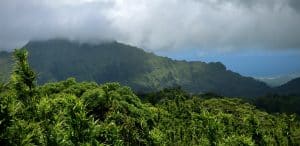 Stacey Slamka Hawaii Hiking