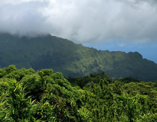 Stacey Slamka Hawaii Hiking